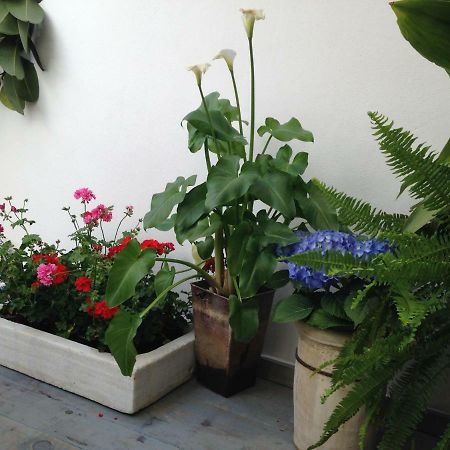 קורדובה Patio San Lorenzo מראה חיצוני תמונה