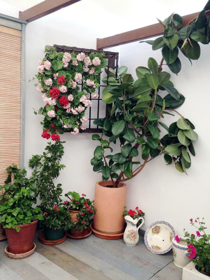 קורדובה Patio San Lorenzo מראה חיצוני תמונה