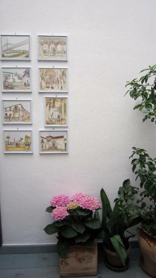 קורדובה Patio San Lorenzo מראה חיצוני תמונה