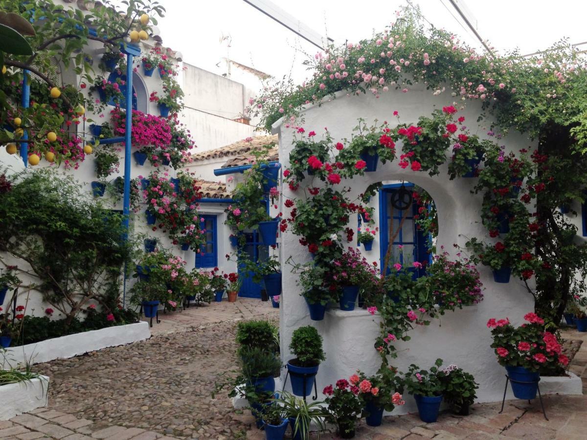 קורדובה Patio San Lorenzo מראה חיצוני תמונה