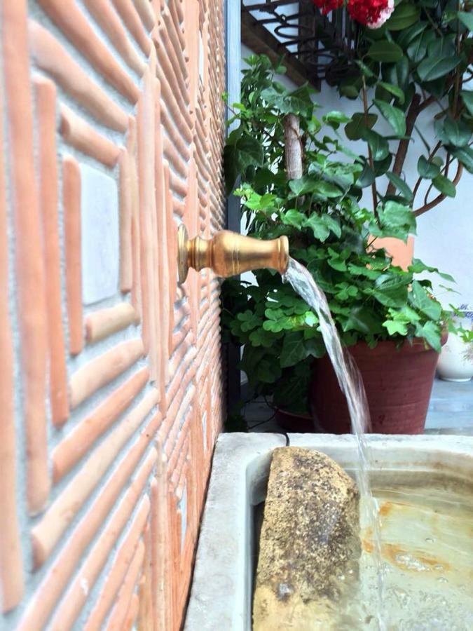 קורדובה Patio San Lorenzo מראה חיצוני תמונה